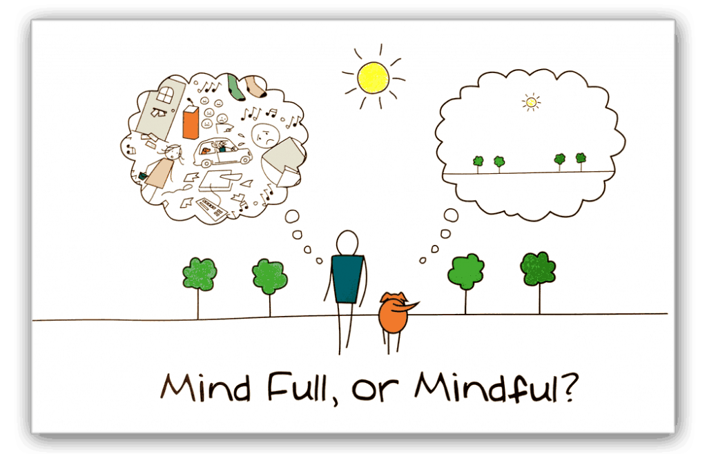 mindfull vs mindful