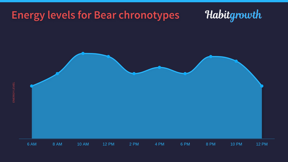 Bear Chronotype Chart - Energy Levels