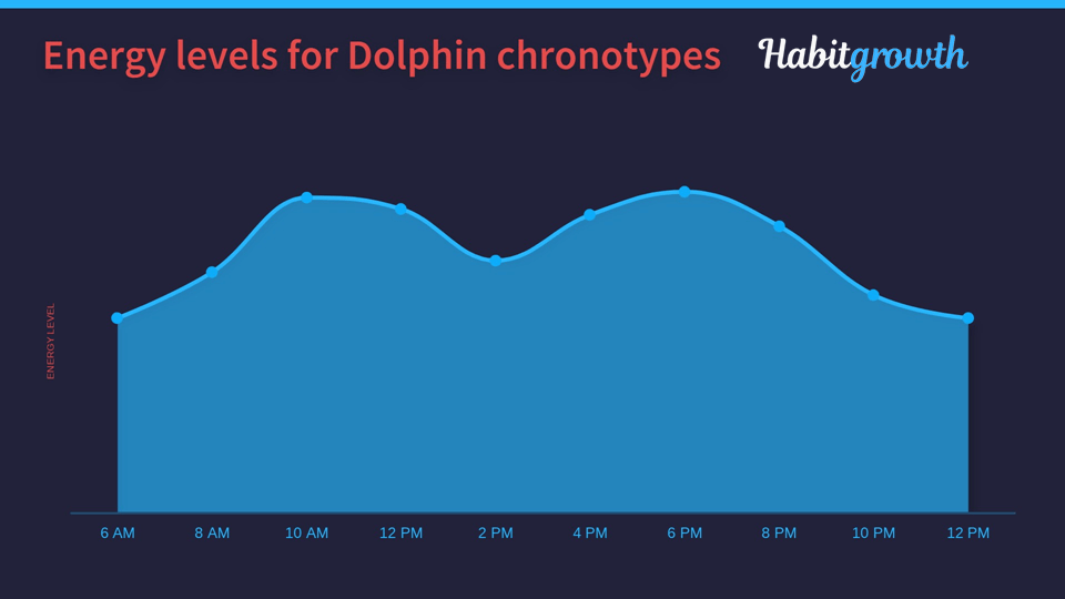 Dolphin Chronotype Chart - Energy Levels