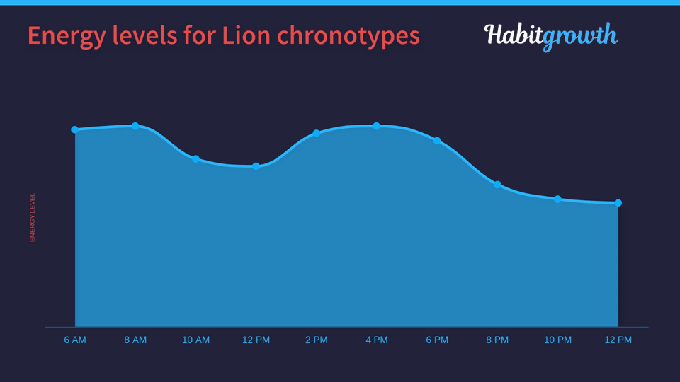 Lion Chronotype Chart - Energy Levels