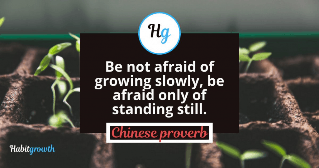 "Be not afraid of growing slowly, be afraid only of standing still" - Chinese Proverb